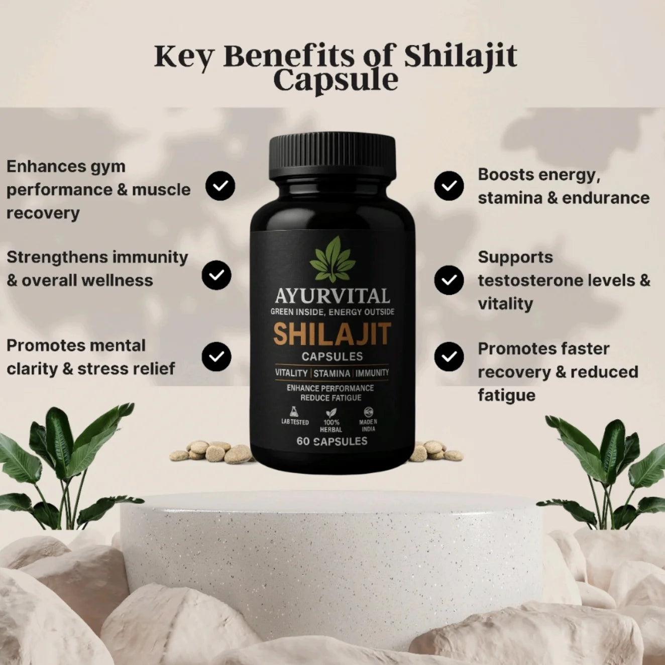 Ayurvedic Shilajit Capsules By Ayurvital - 60 Caps