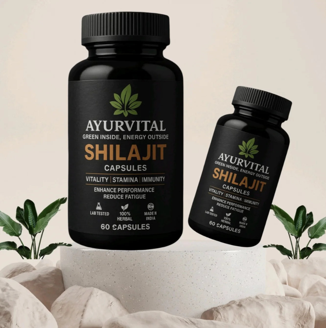 Ayurvedic Shilajit Capsules By Ayurvital - 60 Caps