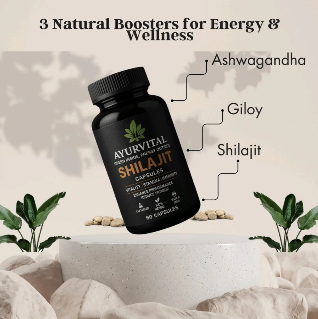 Ayurvedic Shilajit Capsules By Ayurvital - 60 Caps